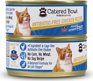 Catered Bowl Antibiotic-Free Chicken (Canned)